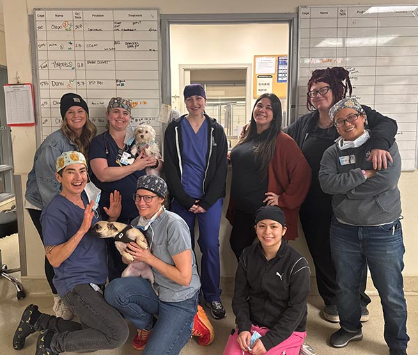 Our amazing Community Veterinary Clinic staff