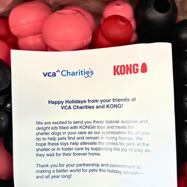 Kong donation from VCA Charities