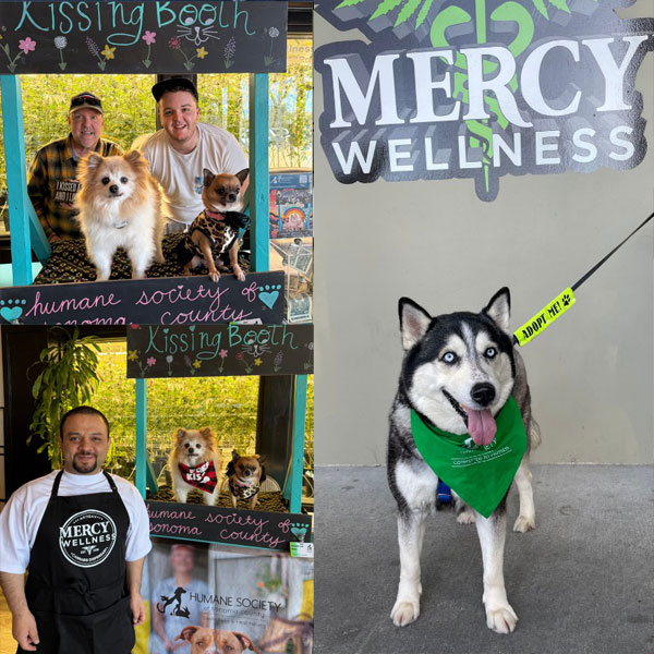 Mercy Wellness