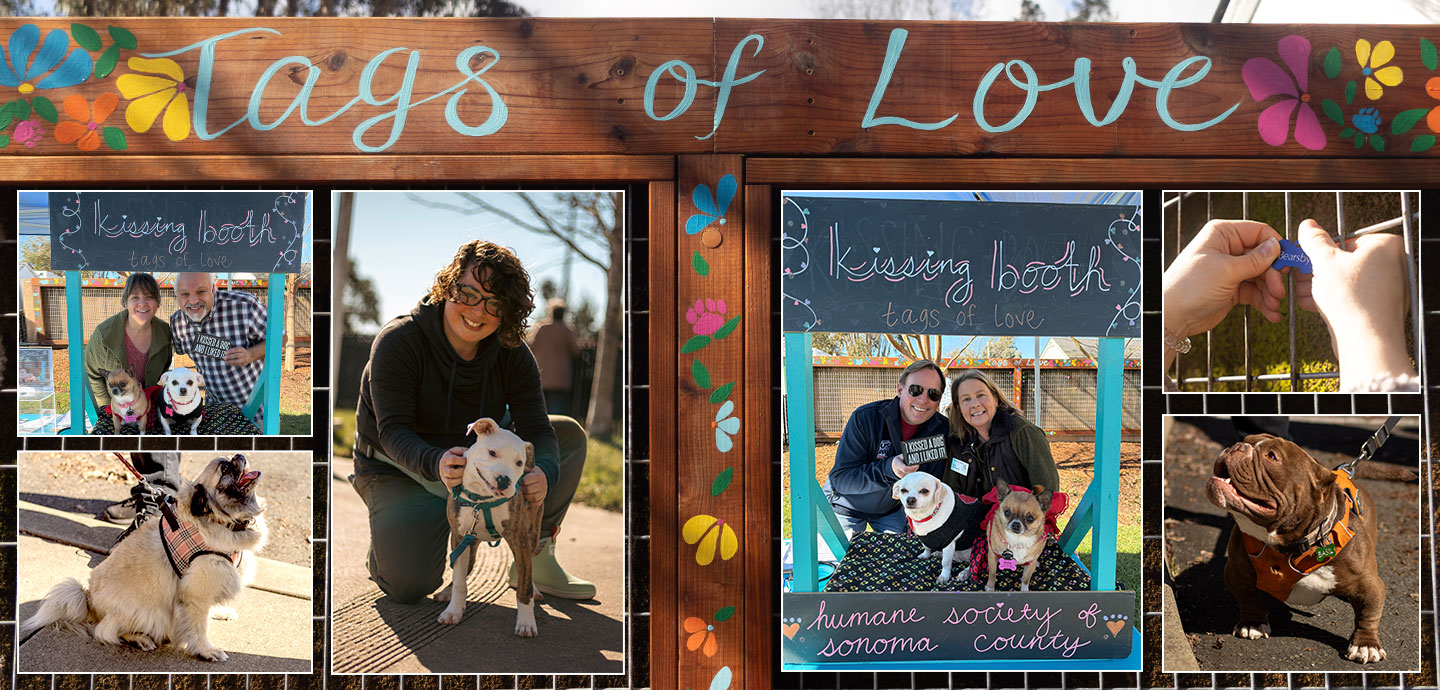 Tags of Love montage