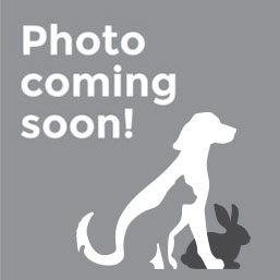 photo-coming-soon Photo coming soon