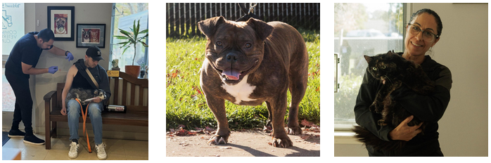 One Health Vaccine Clinic photos: client getting vaccinated along with his dog, bulldog patient, and client holding her vaccinated cat
